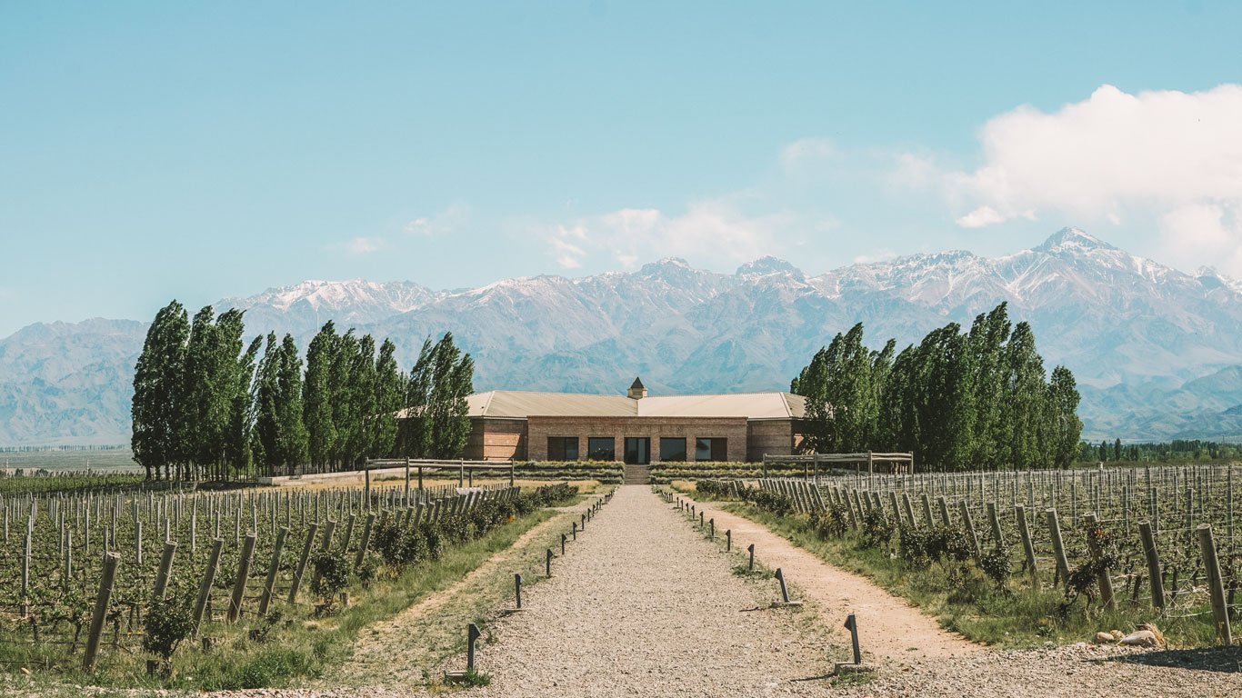 Imagem de uma vinícola em Valle de Uco, em Mendoza, com as típicas paisagens de vinhedo e os Andes ao fundo.