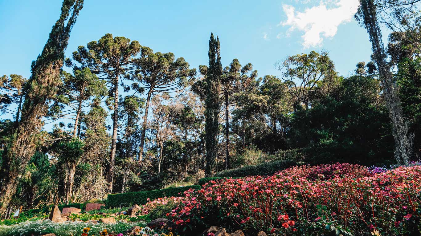 Um jardim com flores vibrantes e árvores altas em Santo Antônio do Pinhal, com um céu claro ao fundo, transmitindo tranquilidade e conexão com a natureza.