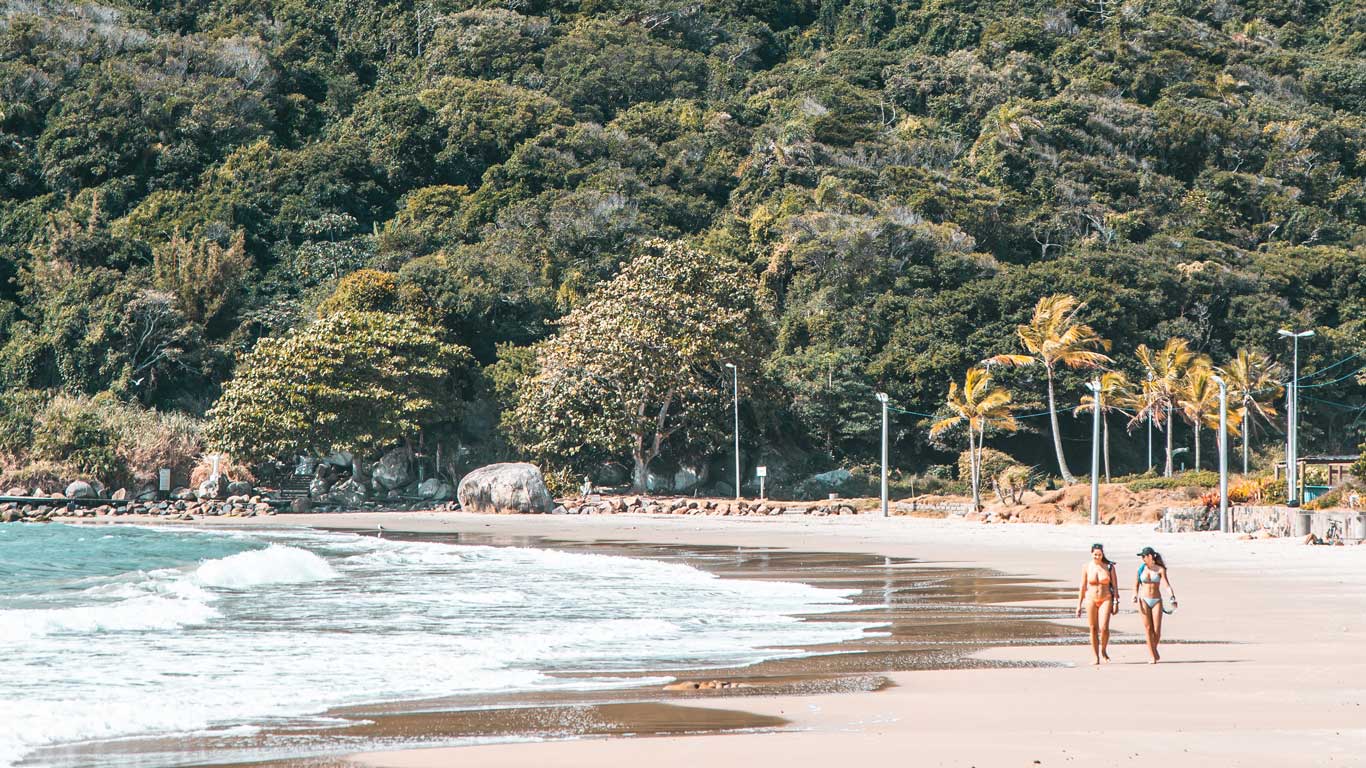 Praia tranquila em Florianópolis com duas mulheres caminhando pela areia, cercadas por vegetação densa e palmeiras. As ondas suaves do mar quebram na costa, criando um cenário sereno e relaxante.