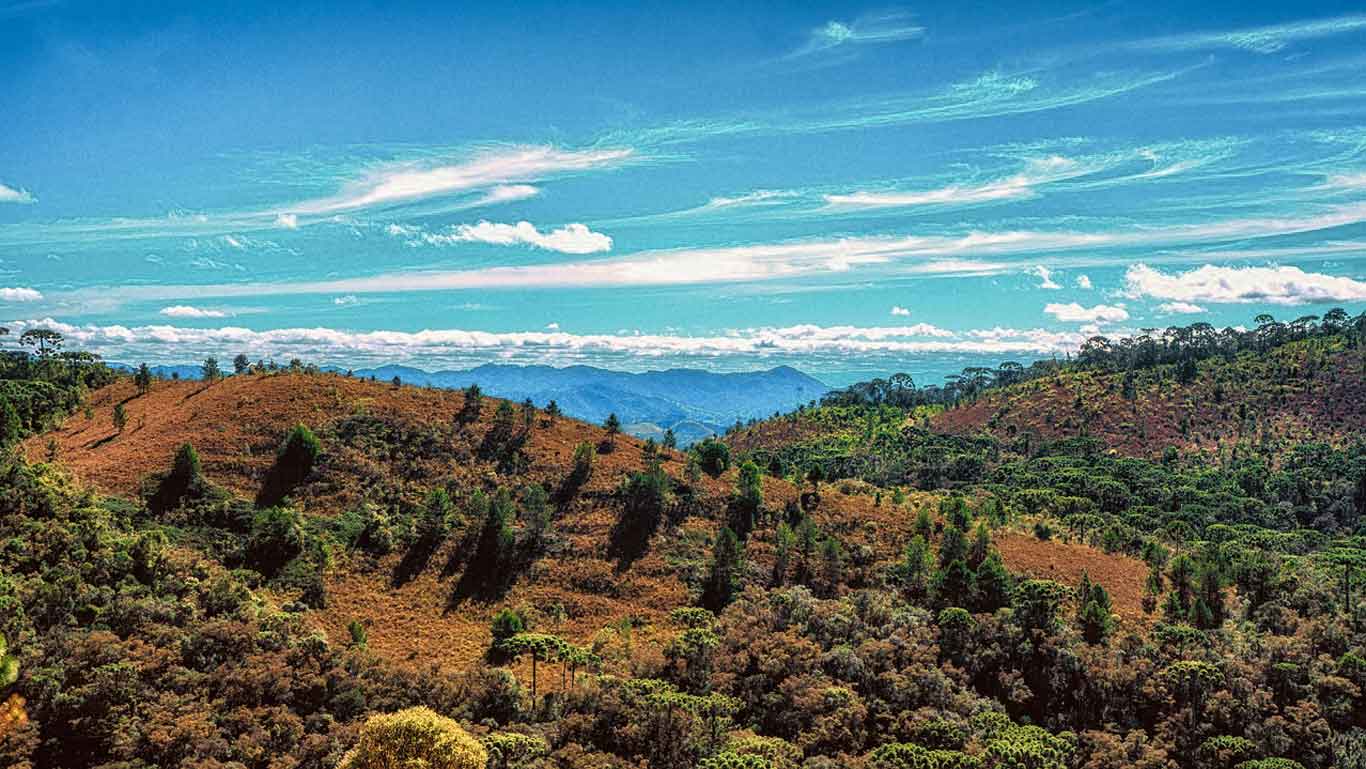 Vista da serra da mantiqueira em Campos do Jordão, no mês de janeiro.