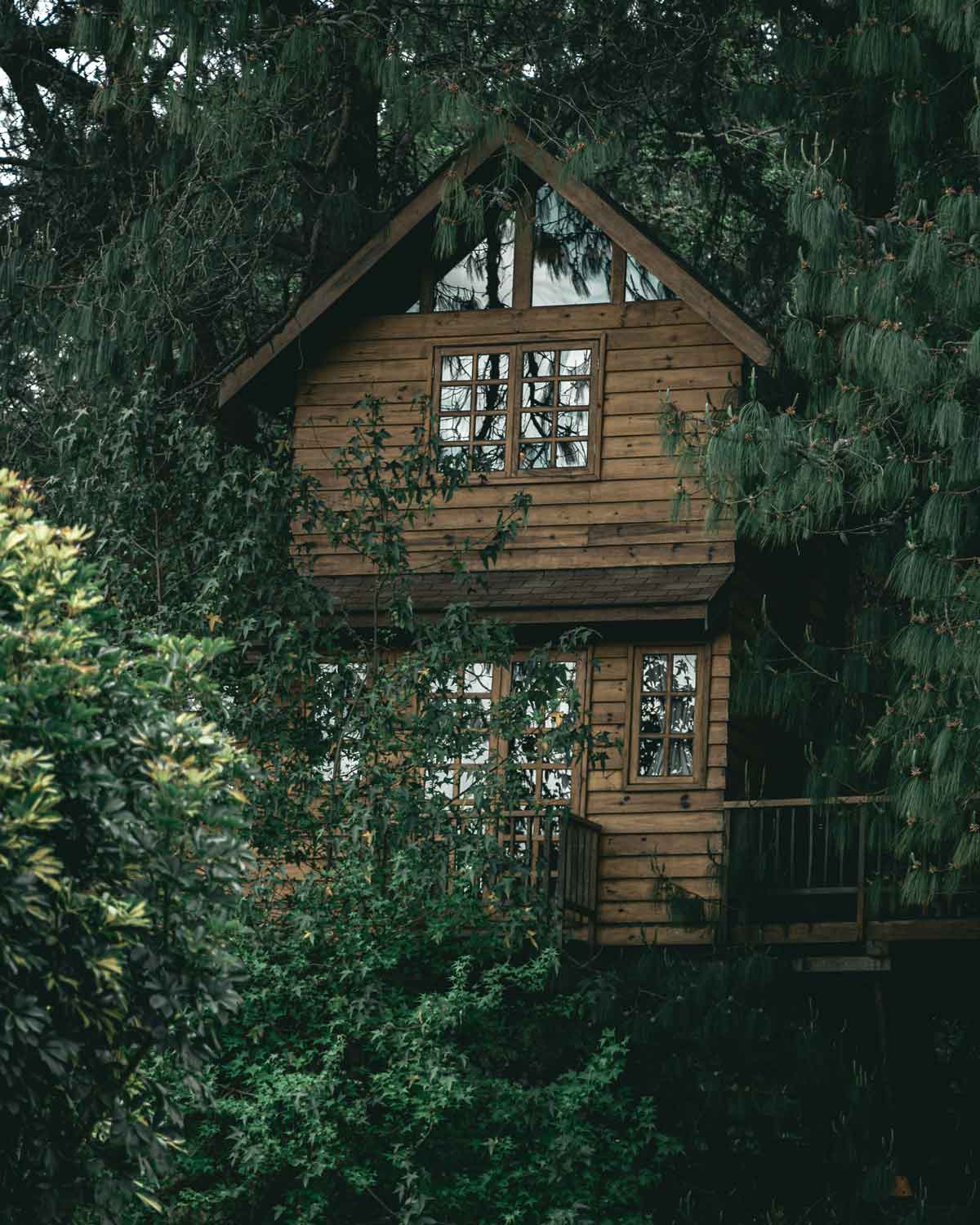 Casa de Madeira coberta de folhas verdes e trepadeiras, no Parque Amantikir.