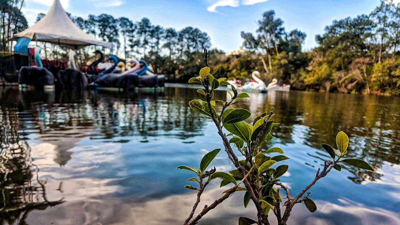 Parque com pedalinhos em um dia de céu azul em Atibaia, um ótimo destino com hotéis fazenda com ceia de Natal no interior de São Paulo.