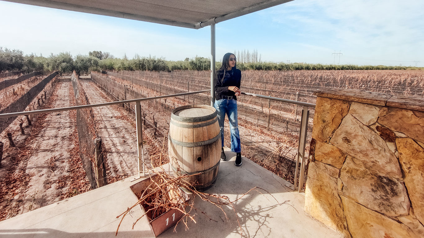 Mulher posando de forma descontraída ao lado de um barril de madeira na Bodega Tempus Alba em Mendoza. A mulher está de calça jeans, tricô preto e óculos escuro, ao fundo as parreiras de uvas sem folhas.