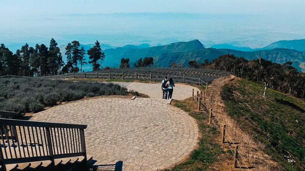 Pico do Itapeva, durante o mês de novembro em Campos do Jordão. Ao centro, um casal aprecia a paisagem envolta por lavandas floridas, com as montanhas verdes ao fundo.