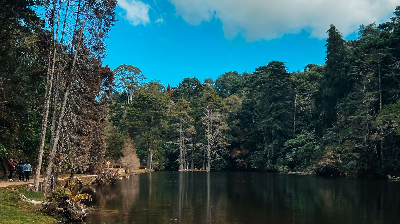 Lago rodeado de árvores verdes, com pessoas caminhando ao fundo, em Campos do Jordão em outubro.