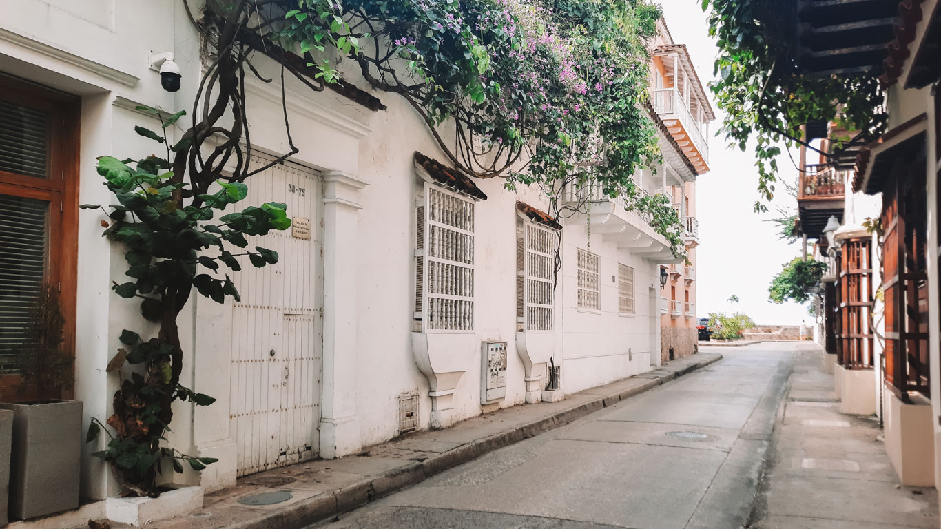 Rua estreita com casas brancas no bairro San Diego em Cartagena, as paredes brancas são decoradas por ramos de flores e folhas de uma planta que cresce pelas paredes e janelas.