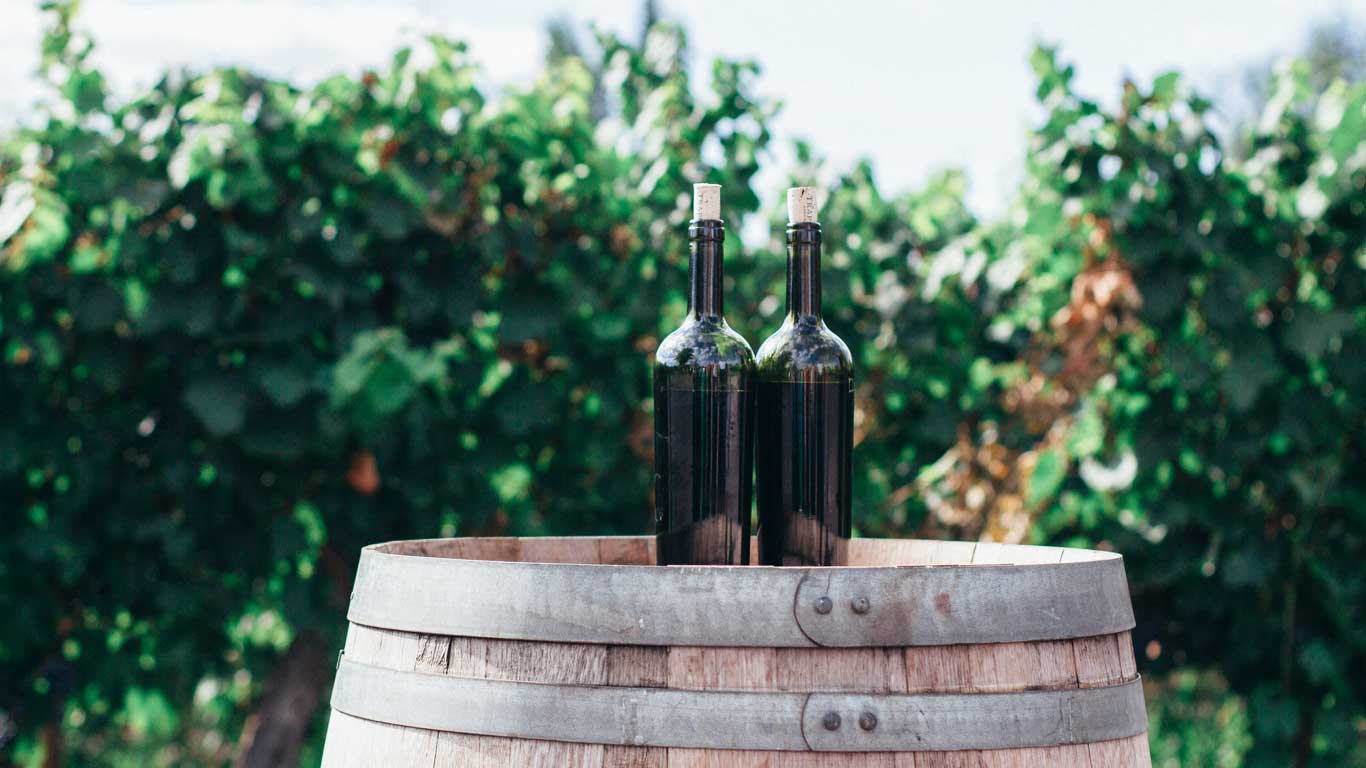 Um barril com algumas garrafas de vinho em cima em frente a um vinhedo totalmente verde.