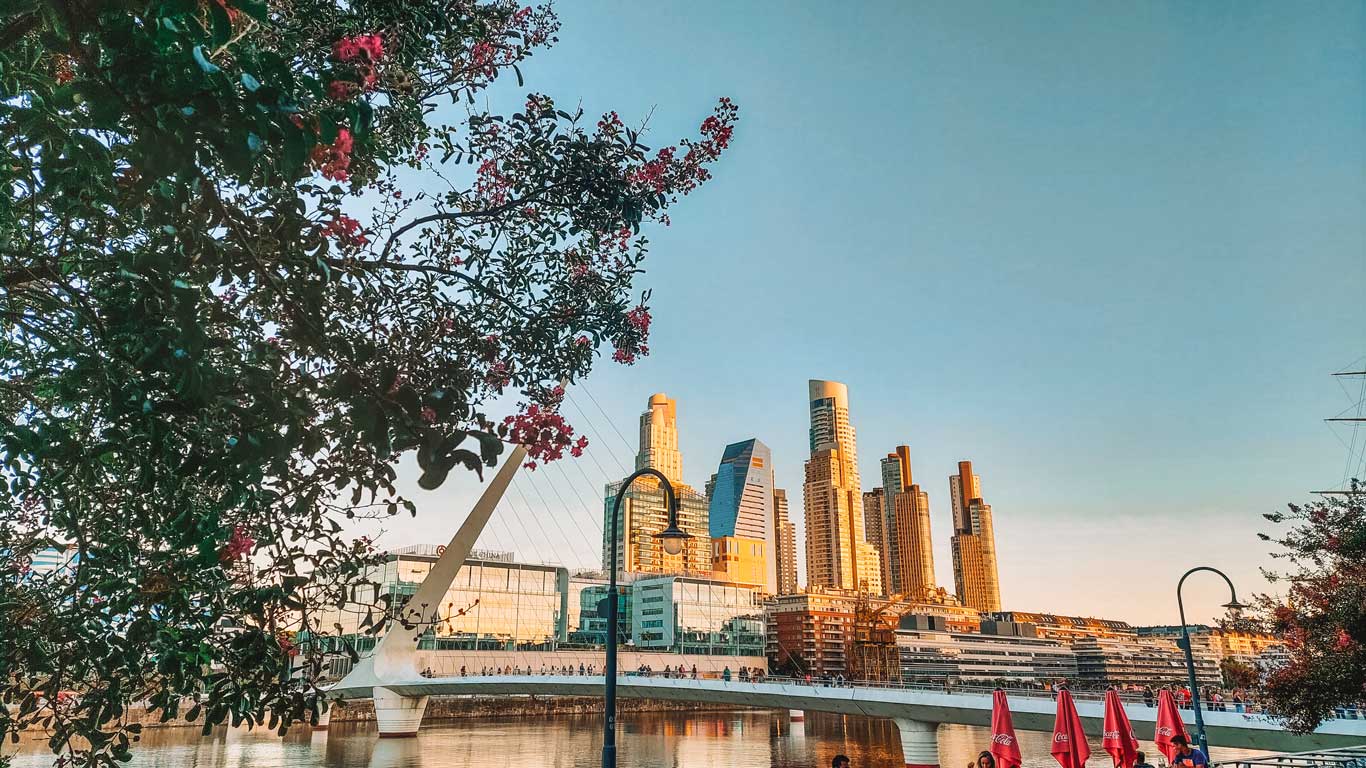 A imagem mostra o famoso Puente de la Mujer em Puerto Madero, Buenos Aires, com modernos arranha-céus dourados pelo pôr do sol ao fundo. À esquerda, galhos de uma árvore com flores emolduram a cena.