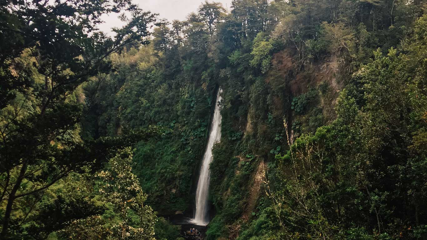 Imagem das Cataratas Tocoihue que despencam de um penhasco coberto de vegetação densa, rodeada por árvores de floresta tropical em Chiloé, no Chile.