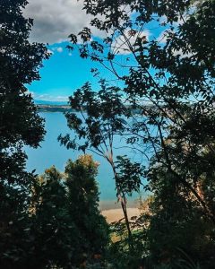 Vista do Parque Philippi em Puerto Varas, com árvores emoldurando uma vista panorâmica do Lago Llanquihue e vulcões ao fundo.