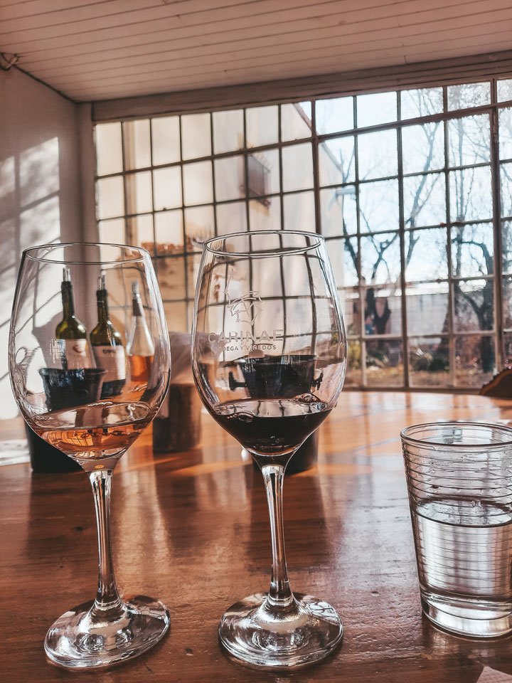 Duas taças de vinho, uma com rosé e outra com tinto, gravadas com o logo da Bodega CarinaE, posicionadas sobre uma mesa de madeira ao lado de um copo d'água. Ao fundo, uma janela ampla com vista para o exterior ensolarado, criando um ambiente acolhedor e convidativo para uma degustação de vinhos.