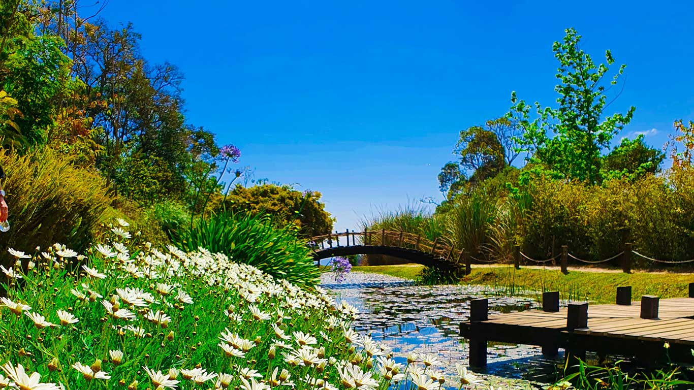 Parque de Campos do Jordão em um dia ensolarado de fevereiro. O céu azul se contrata com a vegetação verde e o pequeno lago.