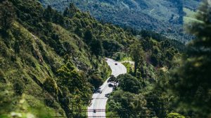 Estrada sinuosa para Campos do Jordão, com colinas cobertas de vegetação densa e árvores exuberantes. Alguns carros percorrem as curvas da estrada.