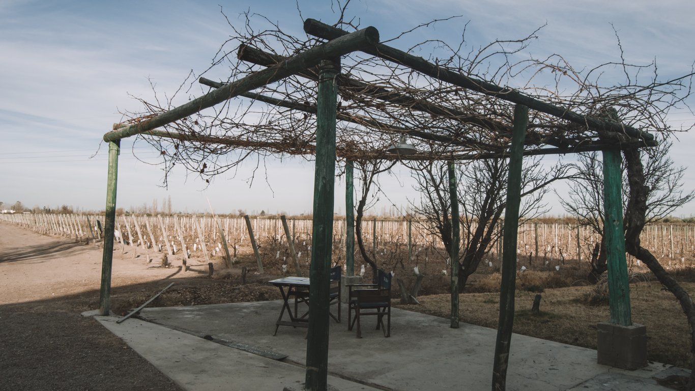 bodegas-de-mendoza-em-agosto Estrutura de madeira com galhos secos em primeiro plano em uma vinícola de Mendoza durante o inverno, com parreirais podados e céu limpo ao fundo.