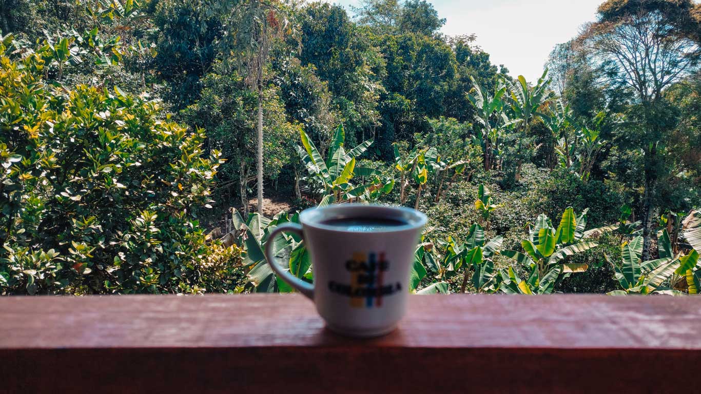 Xícara de café com a marca "Café de Colombia" apoiada em um parapeito de madeira, com vista para uma plantação verdejante de banana e café em Jardín Antioquia. A imagem transmite a essência do turismo cafeeiro da região, unindo natureza exuberante e sabores autênticos.