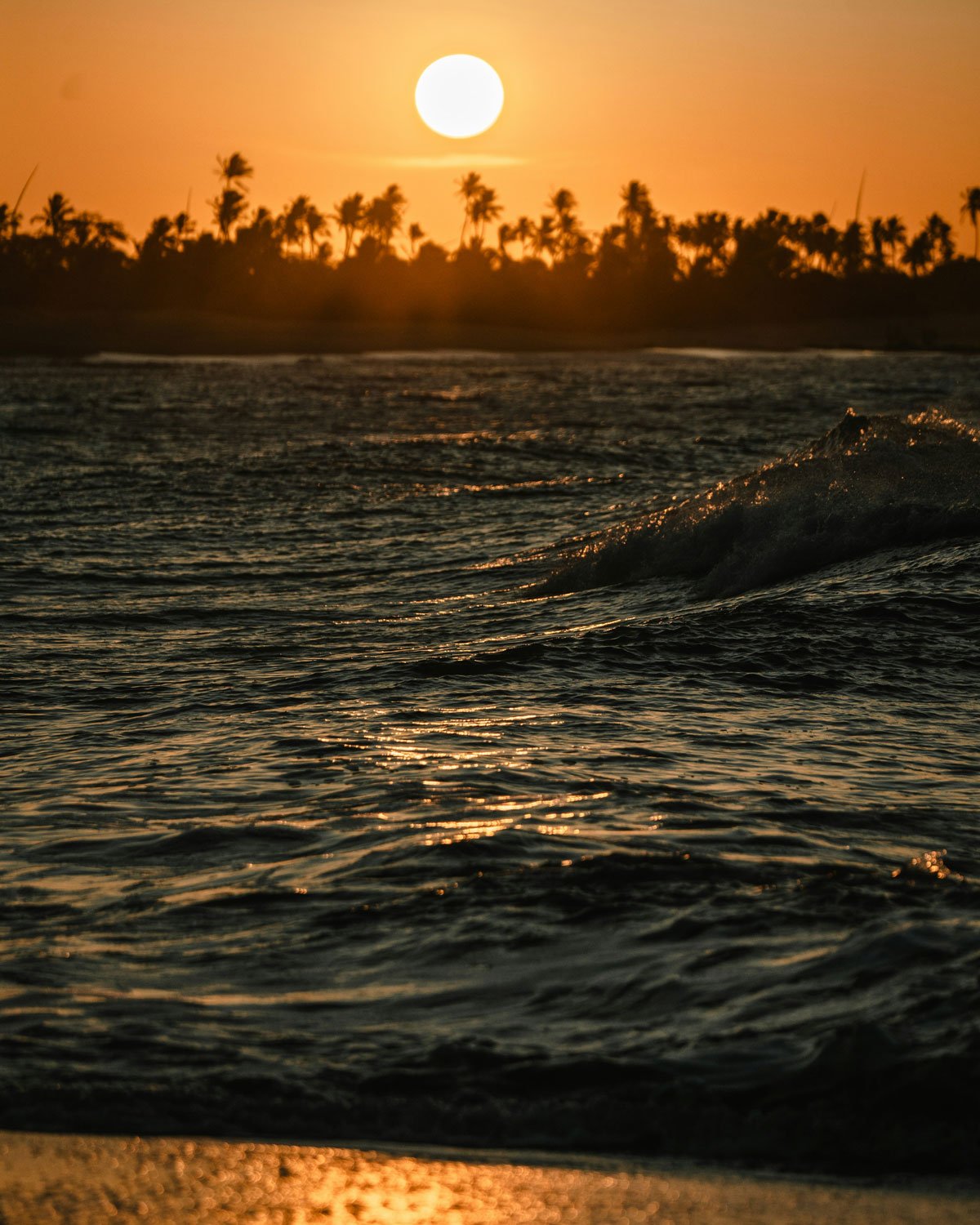 melhor-lugar-para-ficar-em-sao-miguel-do-gostoso Praia da Ponta do Santo Cristo, uma das melhores opções de onde ficar em São Miguel do Gostoso, ao entardecer, com o sol se pondo atrás das palmeiras e o mar refletindo tons dourados.