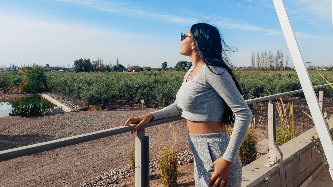 bodegas-para-conhecer-em-mendoza-em-novembro Mulher de cabelos longos e roupa cinza observando a paisagem de uma plantação de oliveiras na Bodega Tempus Alba em Mendoza. Ela está em um terraço com vista para os campos verdes sob um céu azul.