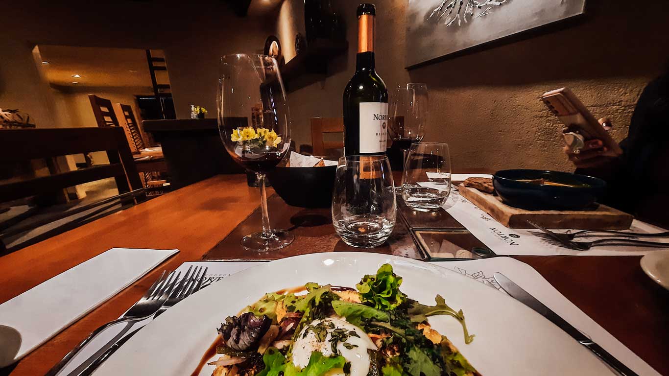 onde-comer-em-mendoza-norton-1 Prato com peixe e salada verde, acompanhado de uma garrafa de vinho tinto, servido no Restaurante terraza La Vid, na bodega Norton.