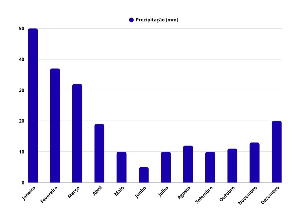 Gráfico de barras azuis mostrando a média mensal de precipitação em milímetros. Janeiro é o mês mais chuvoso, com cerca de 50 mm, seguido por uma queda contínua até junho, com cerca de 5 mm, e uma leve recuperação até dezembro.
