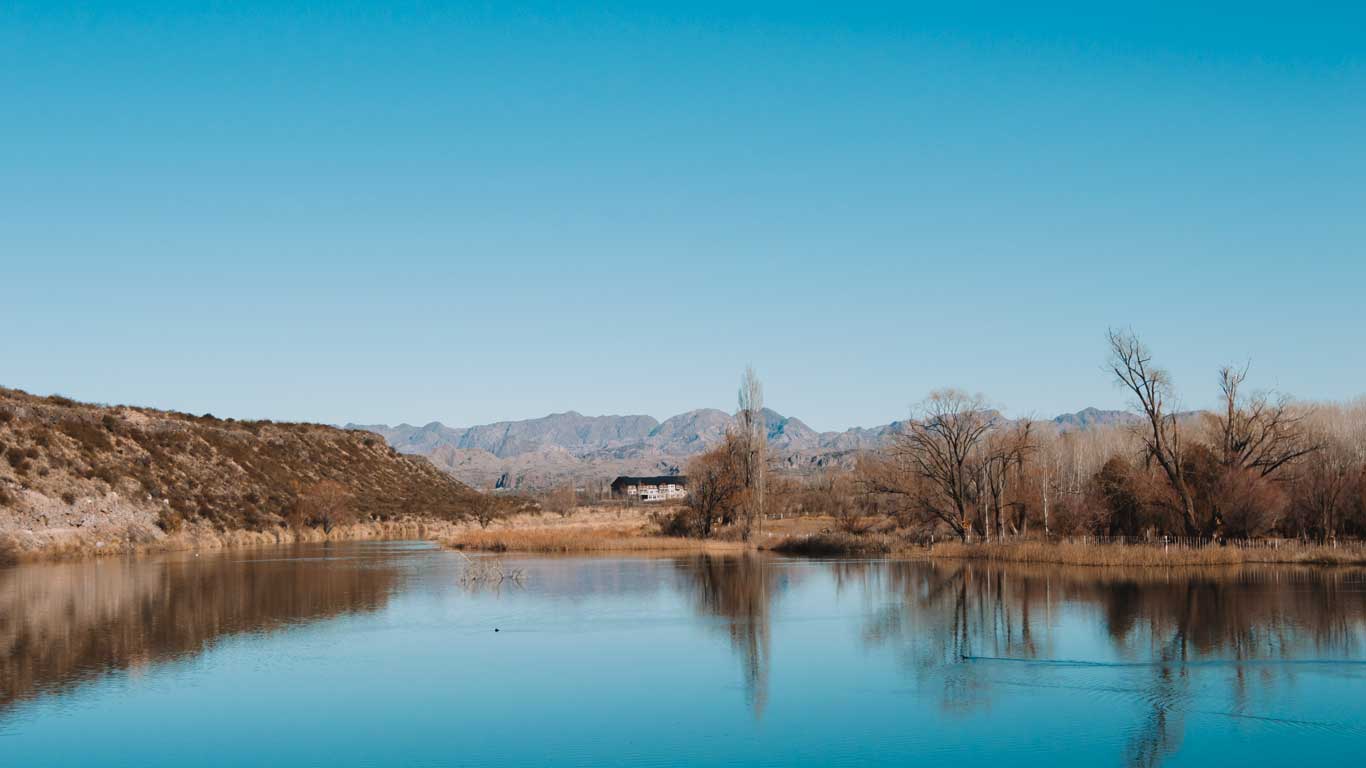 Paisagem tranquila em San Rafael, Mendoza, com um lago cristalino refletindo árvores secas e colinas ao fundo. O céu azul sem nuvens destaca as montanhas ao longe.